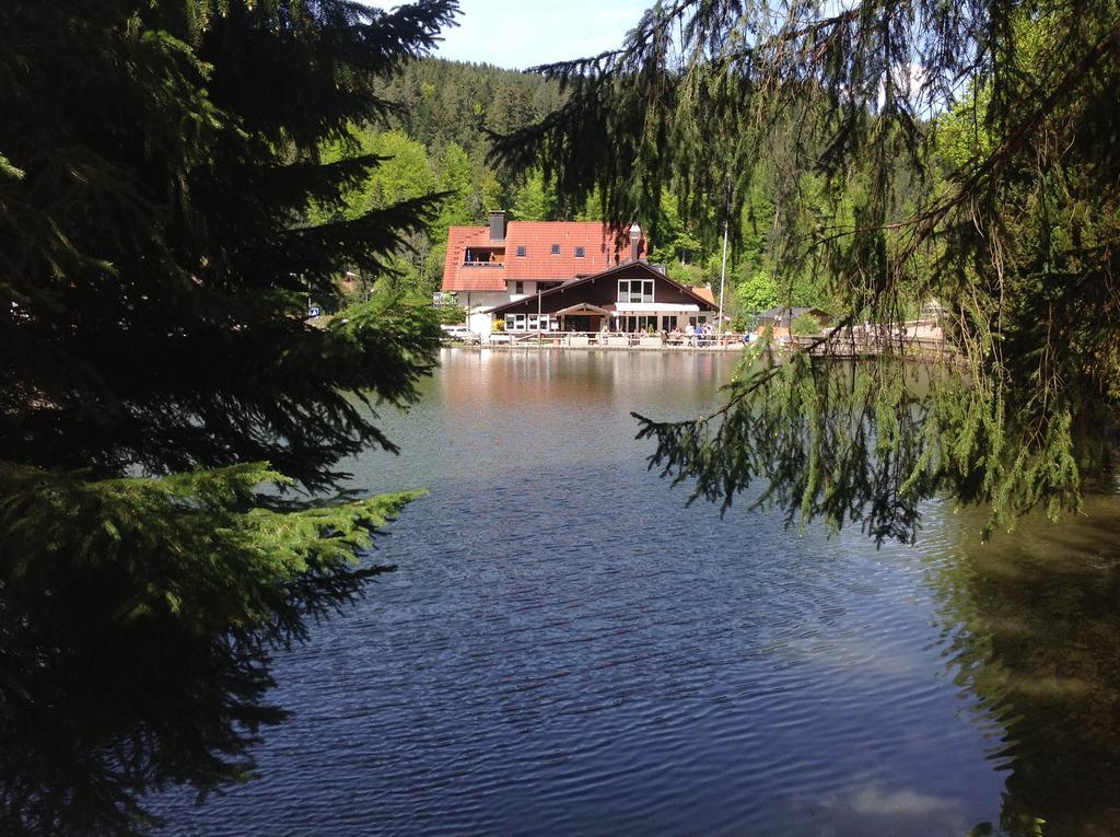 Self-Check-In Ferienwohnungen & Apartments Am Bergsee Triberg im Schwarzwald Exterior photo
